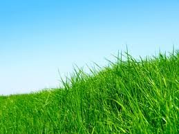images_054